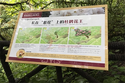 園林標識的分類