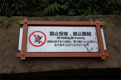么建立景區標識導視系統