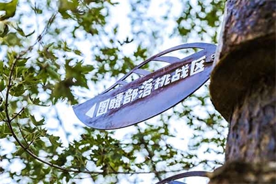 淺談景區(qū)標(biāo)識(shí)牌規(guī)范化締造